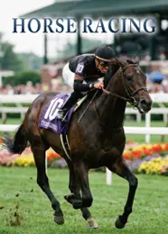 競馬の着せ替え2